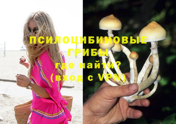 spice Михайловка