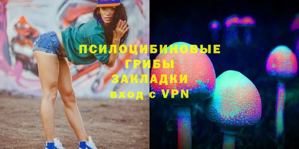 spice Михайловка