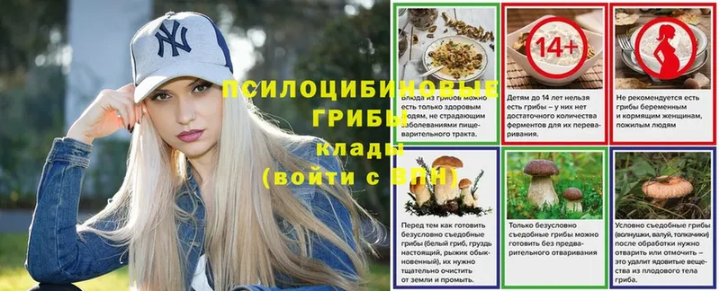 наркотики  hydra ONION  Галлюциногенные грибы Magic Shrooms  Мосальск 